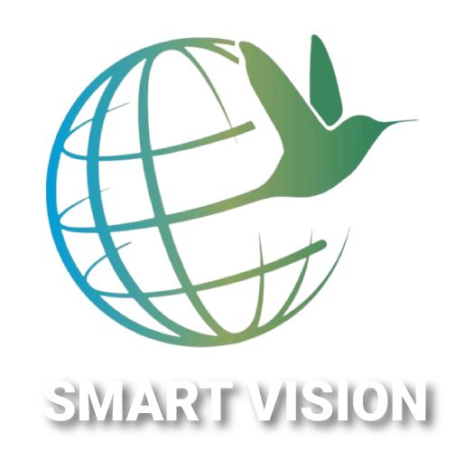 Smart Vision